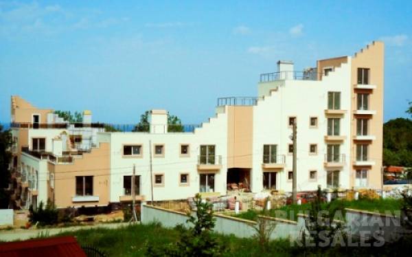 Tango - Biala ID: 318 - Фото9