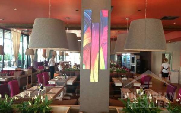 Galeon ID: 24 - Фото13