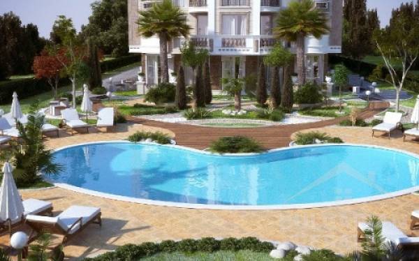 Mellia Boutique 5  ID: 476 - Photo 3