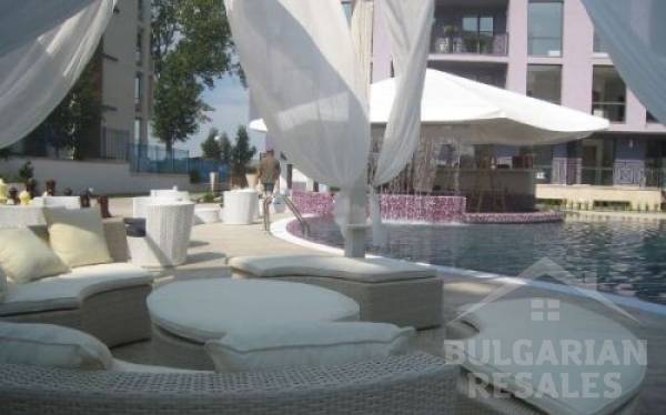 Rainbow 3 ID: 287 - Фото7