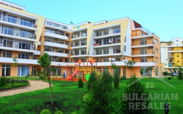 Grand Kamelia ID: 138 - Снимка 7