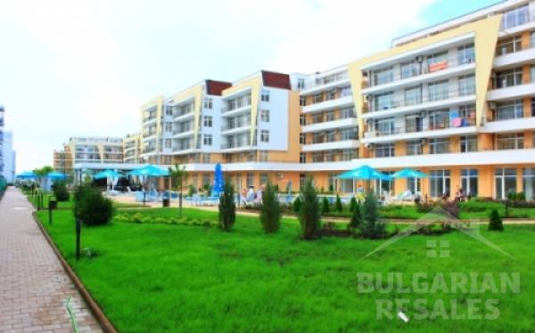 Grand Kamelia ID: 138 - Снимка 9