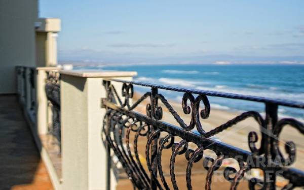 Гардениа Палас ID: 653 - Снимка 3