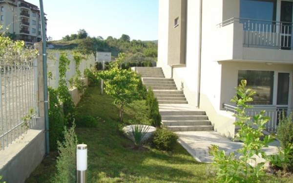 Motyl ID: 233 - Фото5