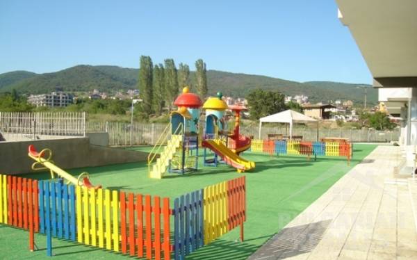 Motyl ID: 233 - Фото6