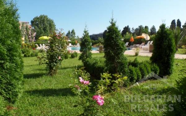 Stella Polaris / Стела Поларис ID: 62 - Снимка 6