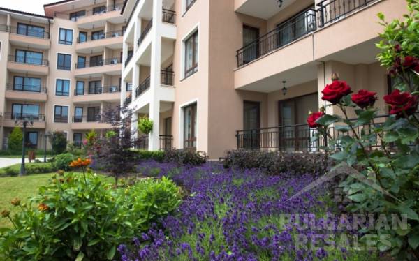 Sea Dreams Sveti Vlas ID: 992 - Фото4