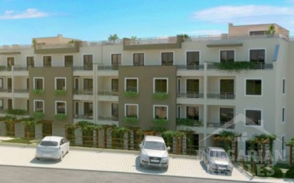 Ogrody Kiwi / Kiwi Gardens ID: 515 - Фото8