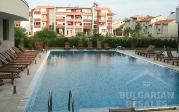 Eden / Eden ID: 85 - Photo 4