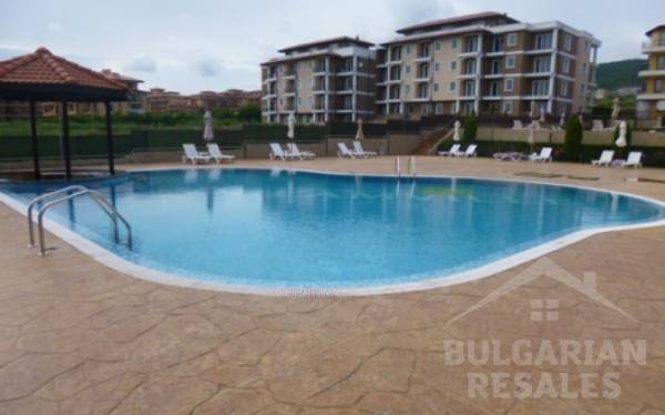 Aqua Dreams / Aqua Dreams ID: 142 - Фото3