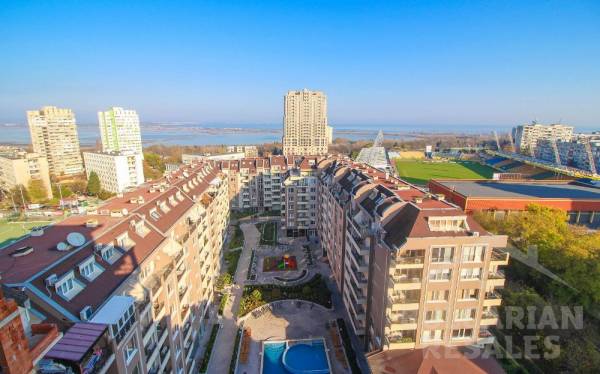 Perla 8 / Perla 8 ID: 868 - Фото2