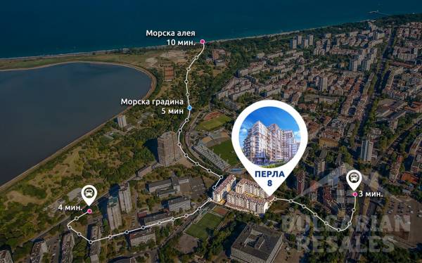 Perla 8 / Perla 8 ID: 868 - Фото3