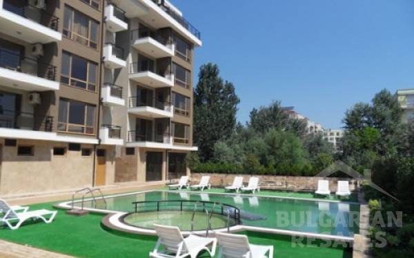 Tarantula ID: 83 - Фото 7