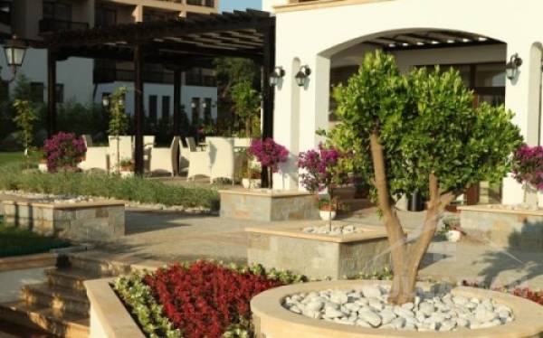 Oazis Beach Club ID: 377 - Фото3