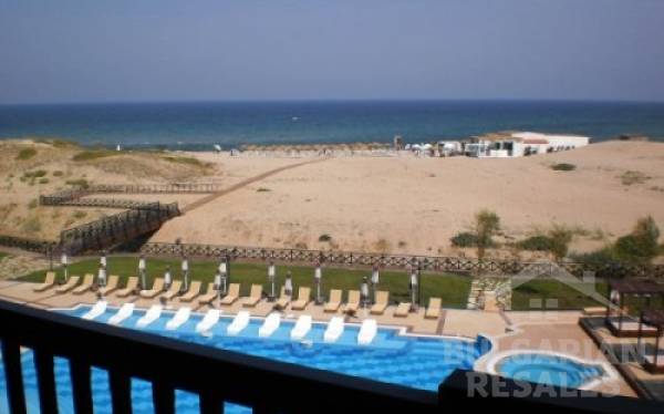 Oazis Beach Club ID: 377 - Фото6