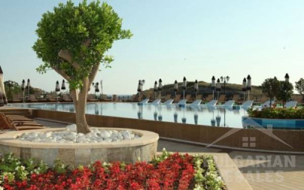 Oazis Beach Club ID: 377 - Фото7