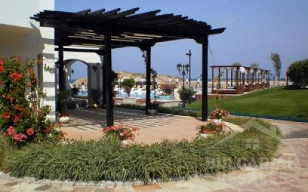 Oazis Beach Club ID: 377 - Фото11