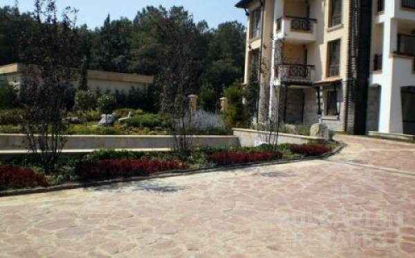 Oazis Beach Club ID: 377 - Фото12