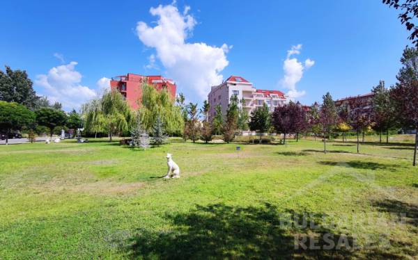 Купить студию в комплексе Афродита 1, выгодно! ID: 1882 - Фото4