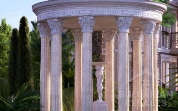 Olimpia ID: 504 - Photo 4