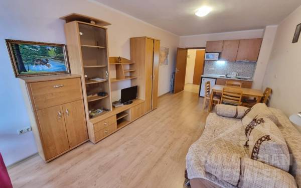 Студия с видом на бассейн для отдыха и сдачи в аренду ID: 2419 - Фото3