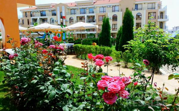 Wspaniałe studio w kompleksie Paradise Dreams ID: 2709 - Фото2