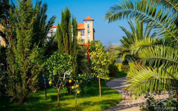 Студия с отдельной кухонной зоной в комплексе "Messembria Palace", Солнечный берег ID: 6083 - Фото 11