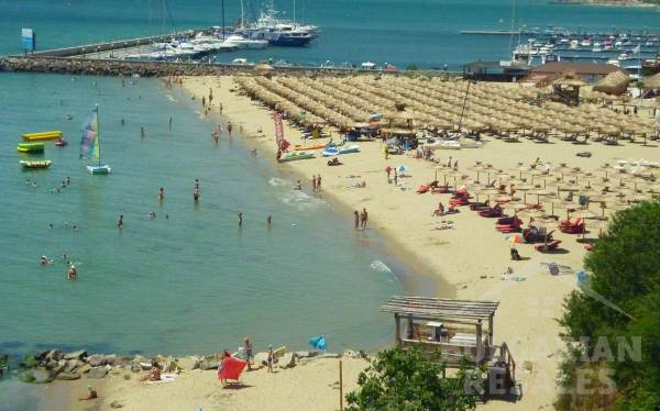 Dedina Vega ID: 493 - Фото5