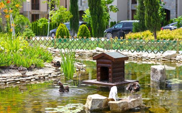 Cascadas Family Resort – Rezidenčný komplex ID: 582 - Фото9