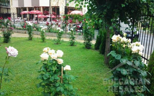  Diamond Bay ID: 2459 - Фото3