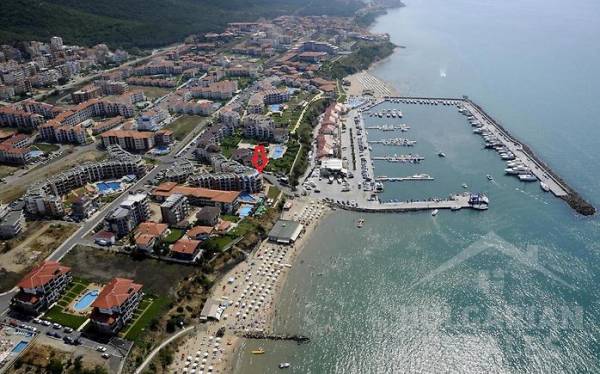 Dedina Vega ID: 493 - Фото1