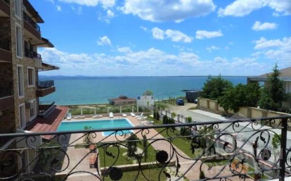 Rich 3 ID: 335 - Фото3