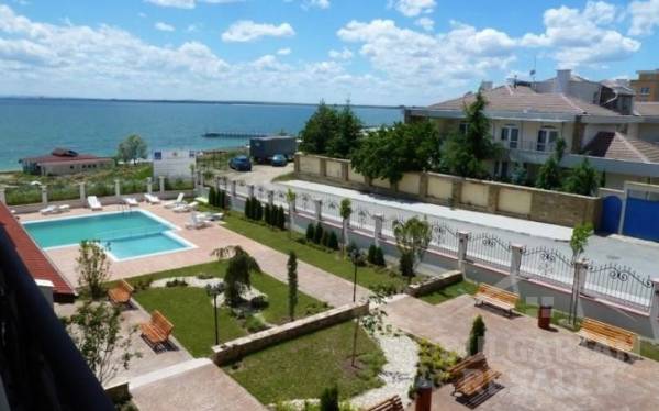 Rich 3 ID: 335 - Фото2