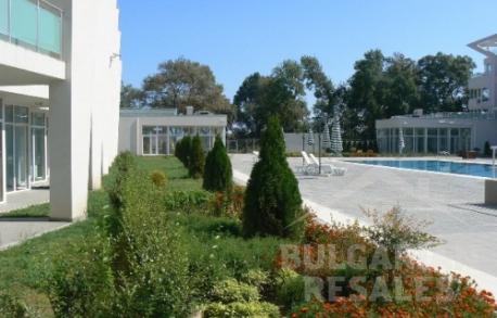 Black Sea Star - Photo 8