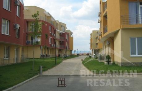 Слънчев ден 5 - Снимка 4