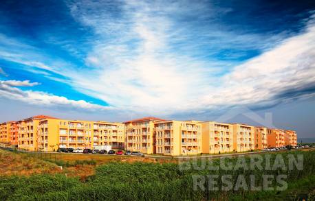 Sunny Day 6 / Солнечный день 6 - Фото 10