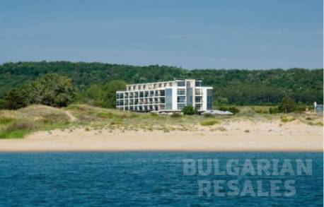 South Pearl - Photo 3