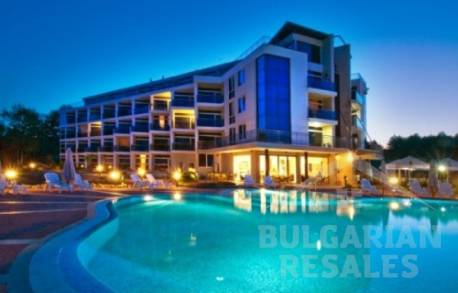 South Pearl - Photo 5