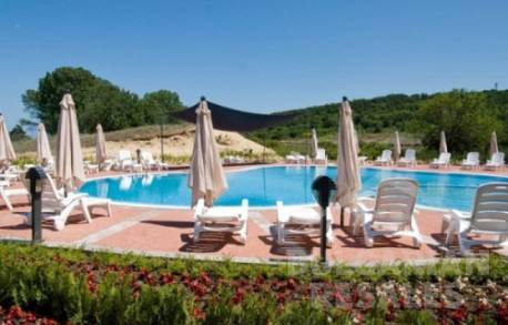 South Pearl - Photo 6