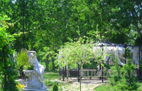 Афродита Роуз - Фото21