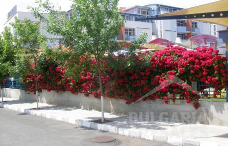 Срочная продажа квартиры по выгодной цене - Фото14