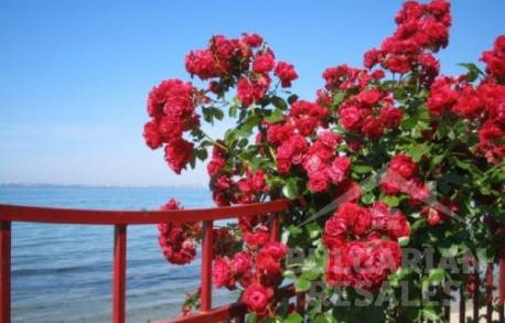 Privilege Fort Beach Residential complex - Photo 2