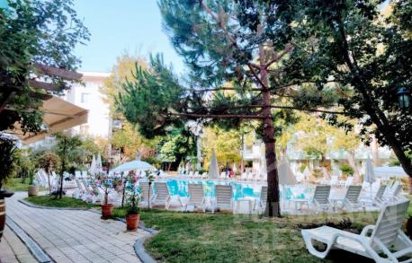 Ясен - Снимка 12