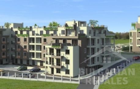 Ogrody Kiwi / Kiwi Gardens - Фото1