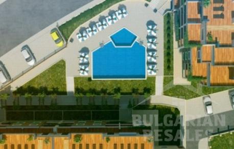 Ogrody Kiwi / Kiwi Gardens - Фото9