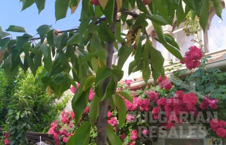 Вила за целогодишно живеене в луксозен комплекс - Снимка 16