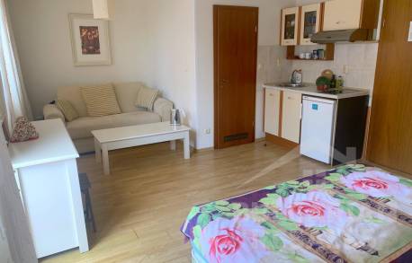 Просторная студия с большим балконом в 150 м от пляжа - Фото2