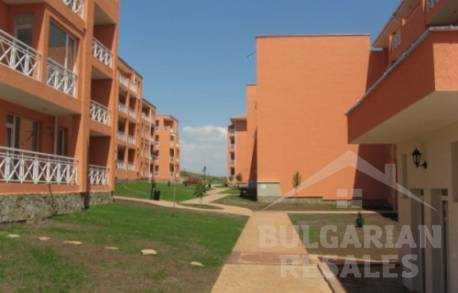 Sunny Day 6 / Солнечный день 6 - Фото 12