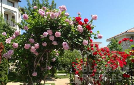 Rýchla transakcia! Byt v krásnej časti mesta - Фото3