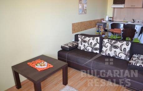 Просторная студия с балконом  - Фото3